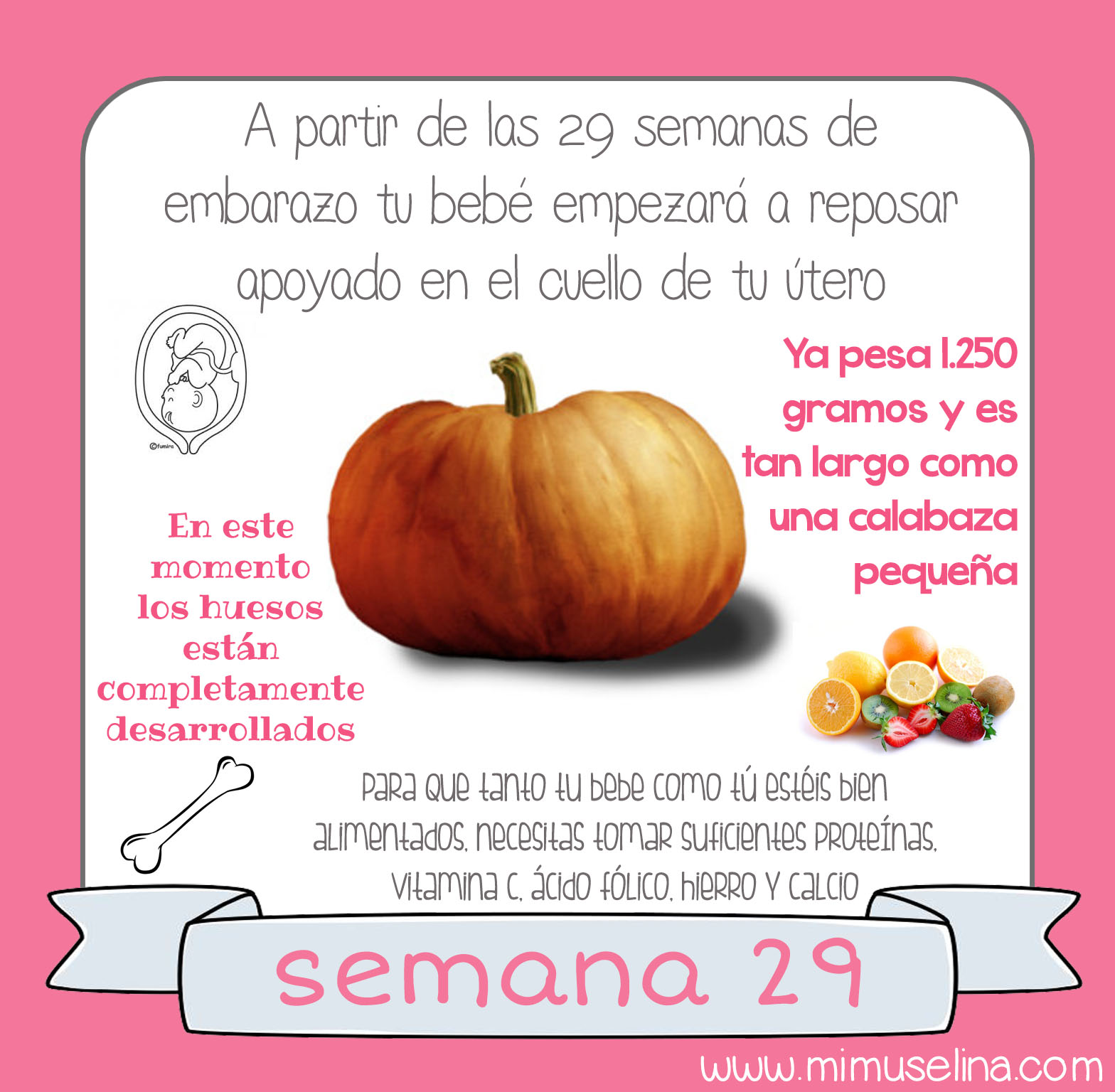 posicion del bebe a las 29 semanas de gestacion